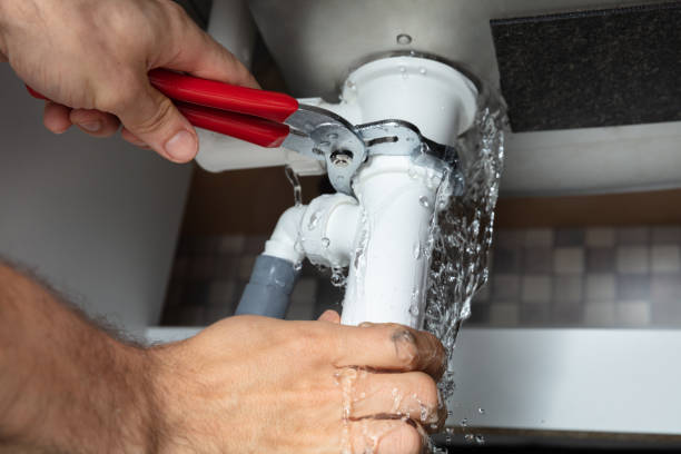Best Ceiling water damage repair  in Staples, MN