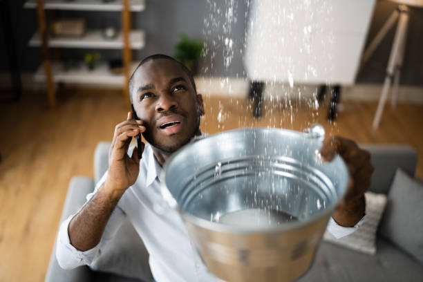 Best Emergency water damage restoration  in Staples, MN