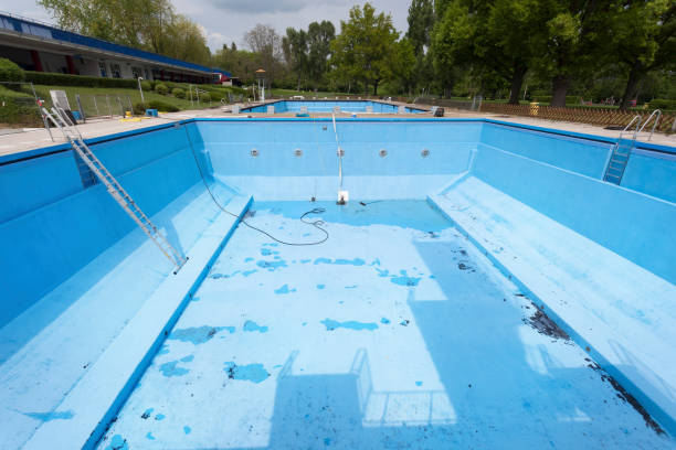 Best Flood damage cleanup  in Staples, MN