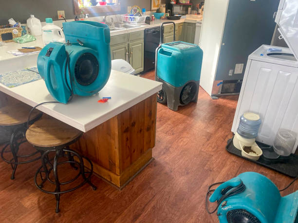 Best 24-hour water damage restoration  in Staples, MN