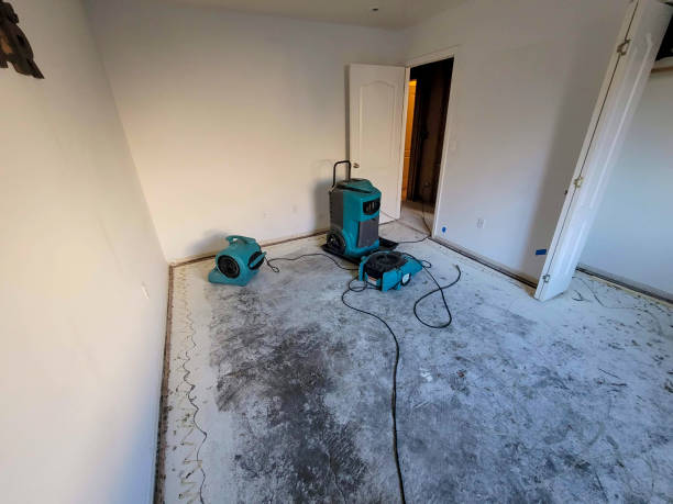 Best Water damage cleanup near me  in Staples, MN