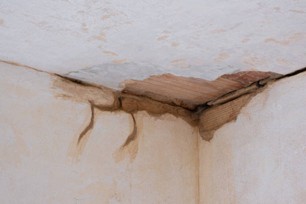 Best Flood damage cleanup  in Staples, MN