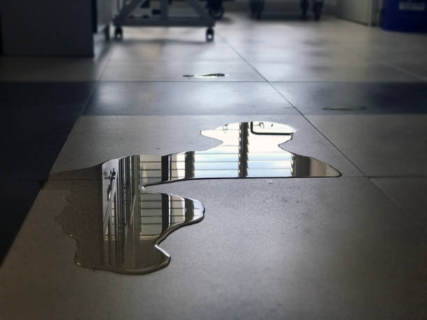 Best Sewage cleanup and water damage restoration  in Staples, MN