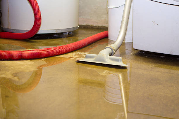 Best Residential water damage restoration  in Staples, MN