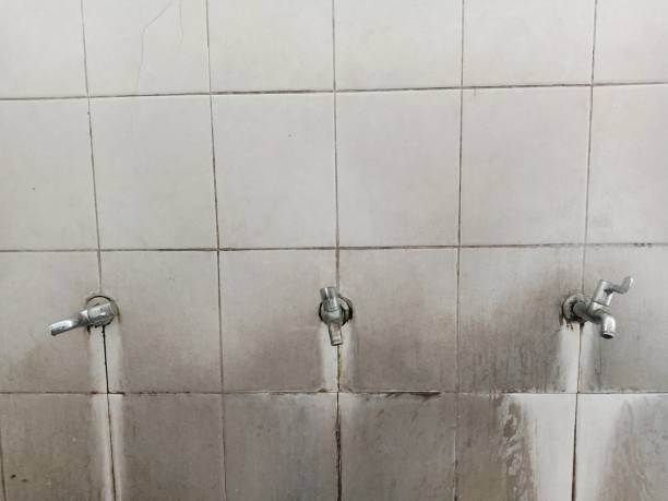 Best Sewage cleanup and water damage restoration  in Staples, MN