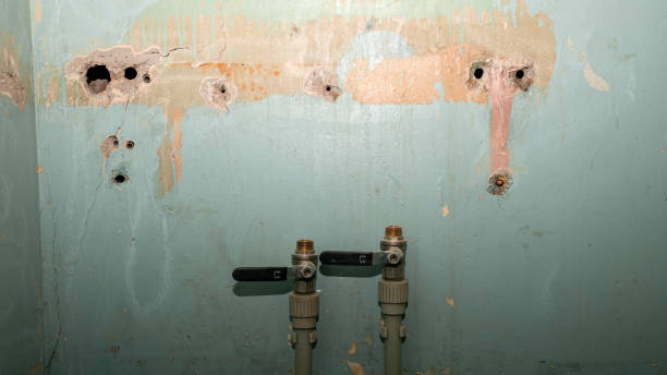 Best Water damage repair service  in Staples, MN