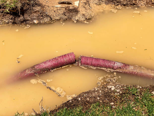 Best Water damage cleanup near me  in Staples, MN
