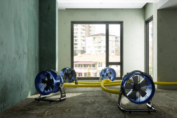 Best Commercial water damage restoration  in Staples, MN